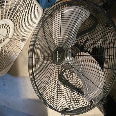 Two Fans