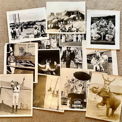 Sale Photo Thumbnail #280