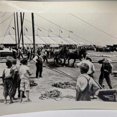 Sale Photo Thumbnail #291