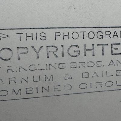 Sale Photo Thumbnail #292