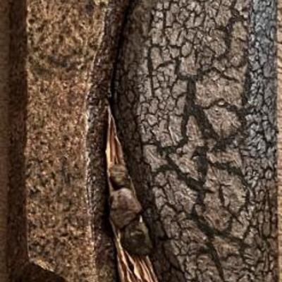 Sale Photo Thumbnail #484