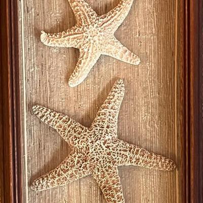 Sale Photo Thumbnail #513