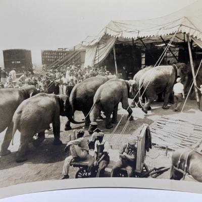 Sale Photo Thumbnail #283