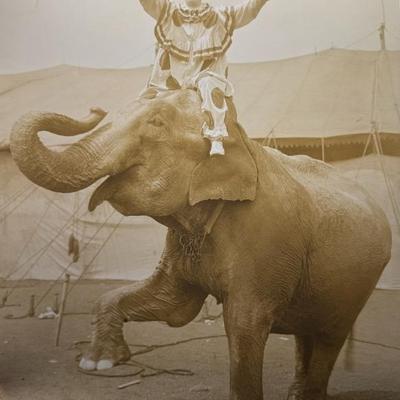 Sale Photo Thumbnail #287