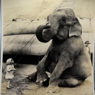 Sale Photo Thumbnail #295