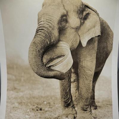 Sale Photo Thumbnail #294