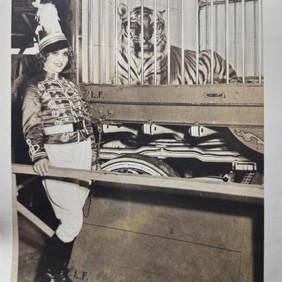 Sale Photo Thumbnail #290