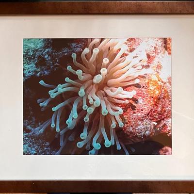 Sale Photo Thumbnail #512