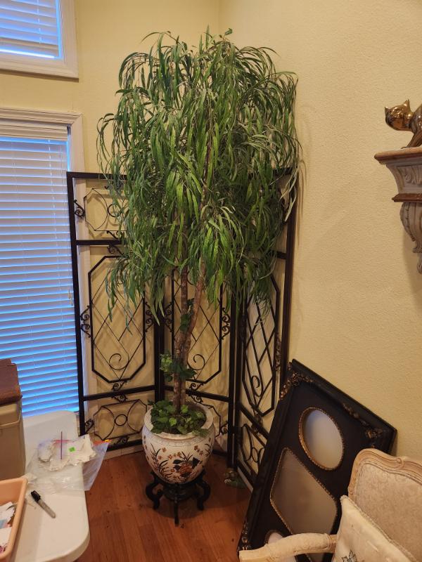 Sale Photo Thumbnail #4