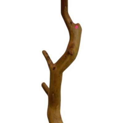 Sale Photo Thumbnail #761