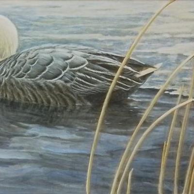 Sale Photo Thumbnail #165