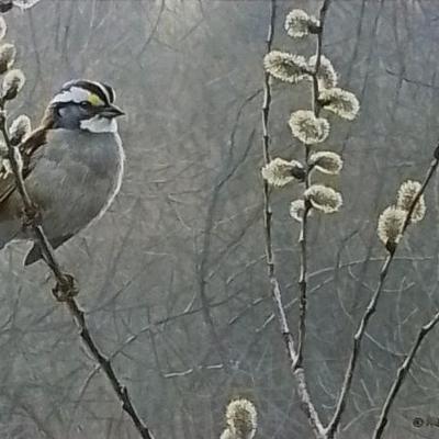 Sale Photo Thumbnail #83