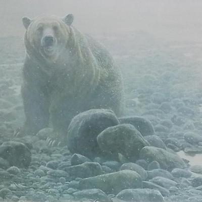 Sale Photo Thumbnail #154