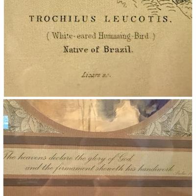 Sale Photo Thumbnail #16