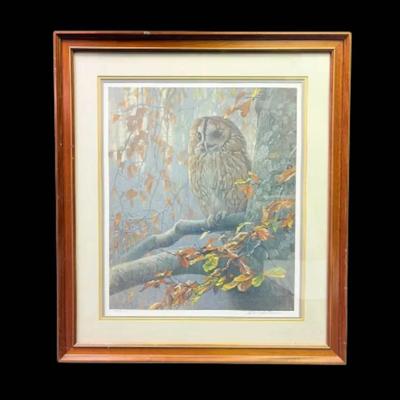 Framed “Tawny Owl In Beech” Print By Robert Bateman (33”x29”)