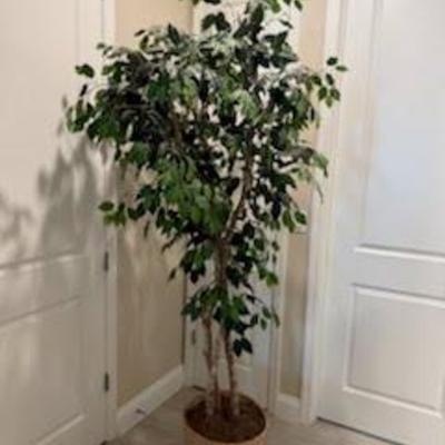 Sale Photo Thumbnail #55: 47e45d6e 1b8a 4999 8270 d50cf8b4c612