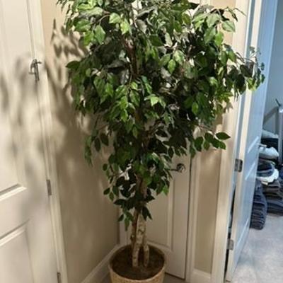 Sale Photo Thumbnail #15: 897627c9 5764 4ac2 abef 671d3192093b 4 5005 c