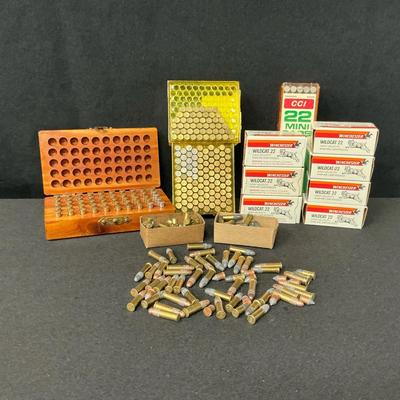 Assorted 22 Rounds