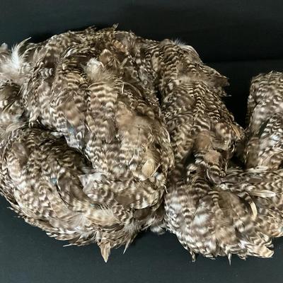 Coque Feather Boa - Natural Chinchilla