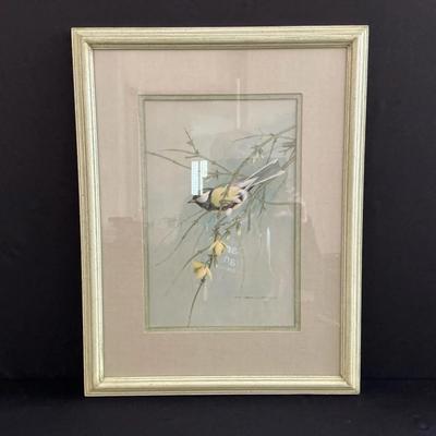 Great Tit Signed By “Basil Edo”