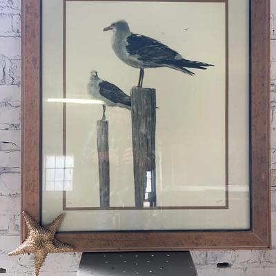 James West Offset Print Of Seagulls 