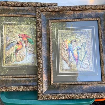 Parrot Prints Framed 