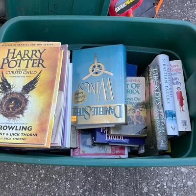 Books Mystery Lot