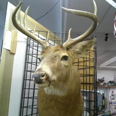 Sale Photo Thumbnail #6