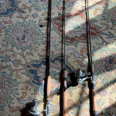 FISHING POLES AND REELS