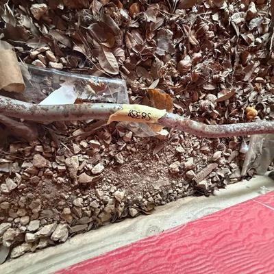 Various Garage Items & Rusty Weight Bar