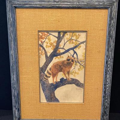 Framed And Matted Artwork Of Raccoon, Signed Bristow, Unknown Media