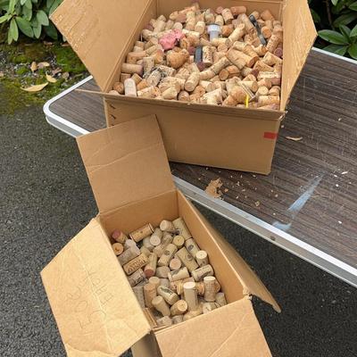 Collection of Wine Corks