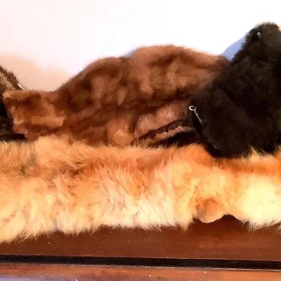 Fur Stoles, Pelts & Collars – Mixed Natural Fur Collection (6 Pieces)