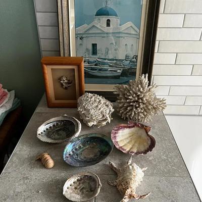 Coastal Décor Lot – Seashells, Coral & Framed Art (Shells Circa 1995 Hawaii)