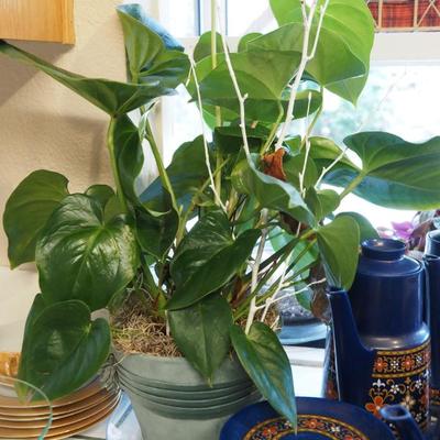 Sale Photo Thumbnail #110