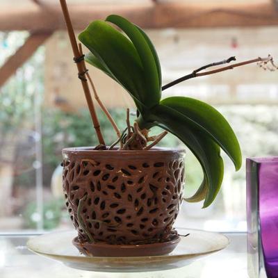 Sale Photo Thumbnail #111