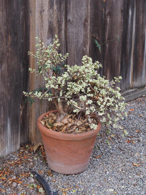 Sale Photo Thumbnail #319