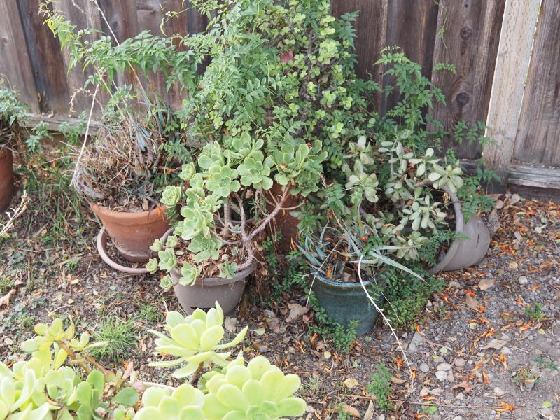 Sale Photo Thumbnail #318