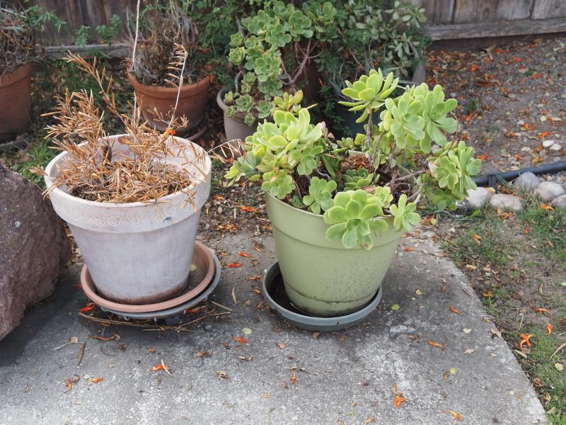 Sale Photo Thumbnail #317