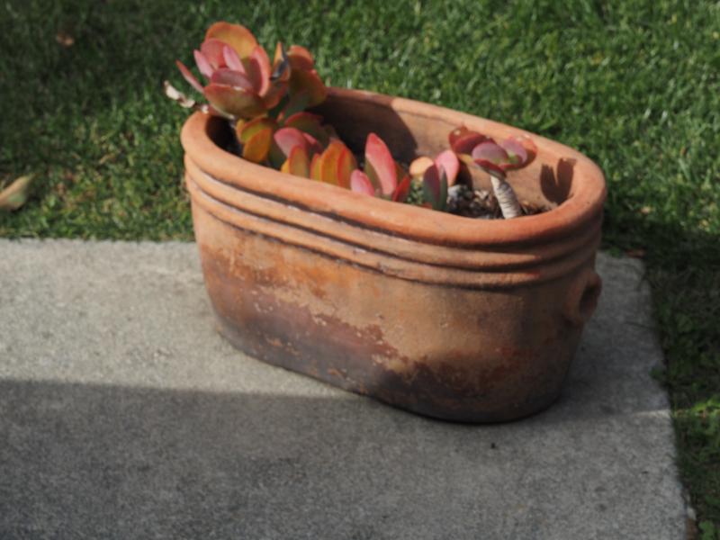 Sale Photo Thumbnail #325