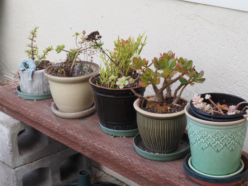 Sale Photo Thumbnail #328