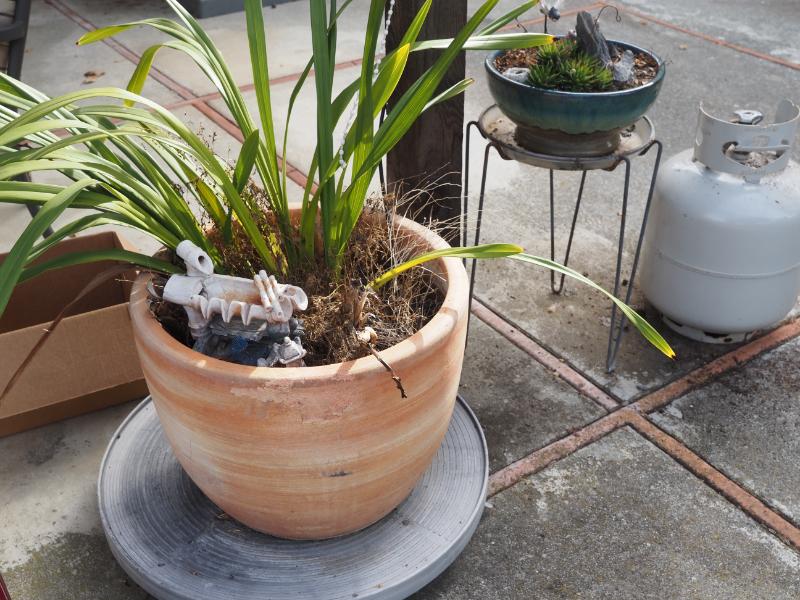 Sale Photo Thumbnail #316