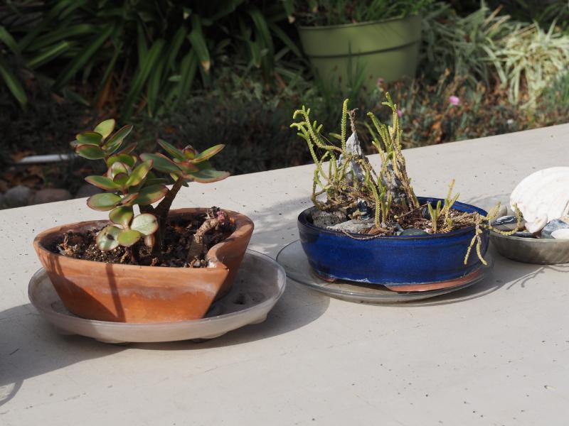 Sale Photo Thumbnail #323