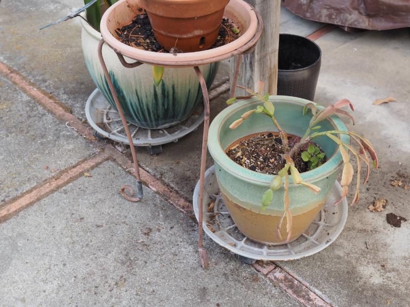 Sale Photo Thumbnail #315