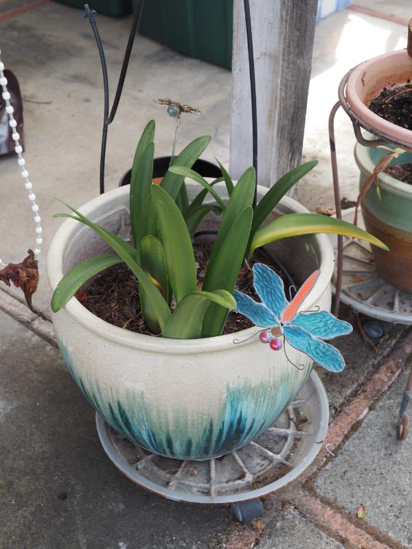 Sale Photo Thumbnail #314