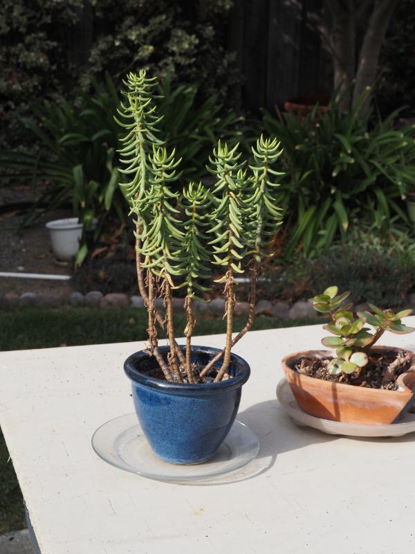 Sale Photo Thumbnail #322