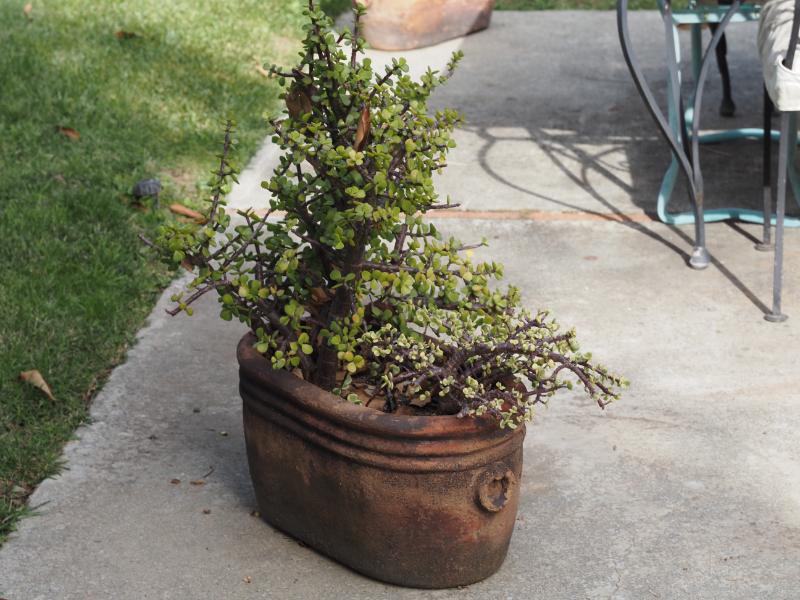 Sale Photo Thumbnail #320