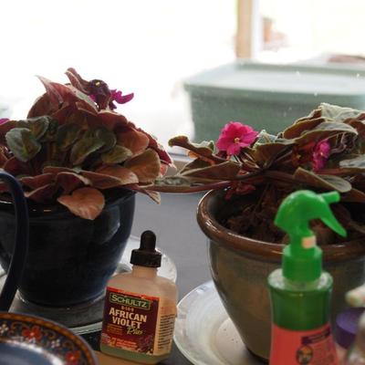 Sale Photo Thumbnail #114