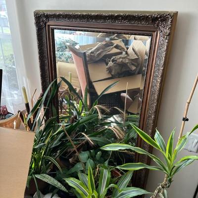 Sale Photo Thumbnail #21