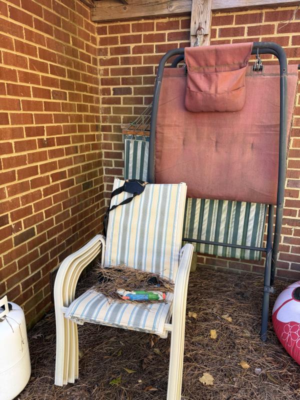 Sale Photo Thumbnail #193